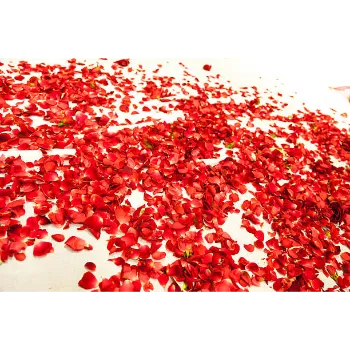 Dry Rose Petals